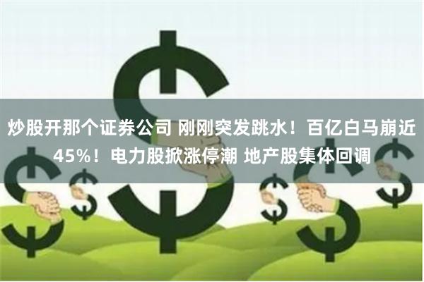 炒股开那个证券公司 刚刚突发跳水！百亿白马崩近45%！电力股掀涨停潮 地产股集体回调