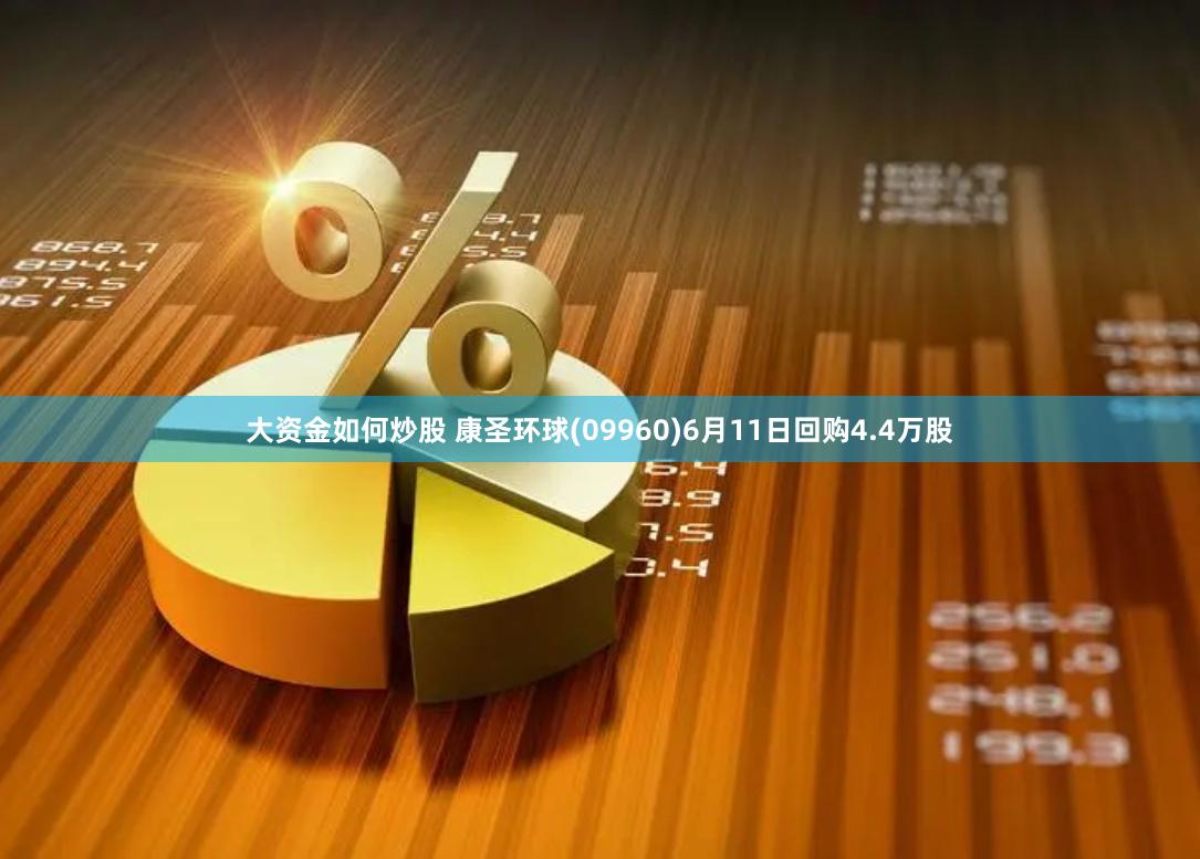 大资金如何炒股 康圣环球(09960)6月11日回购4.4万股