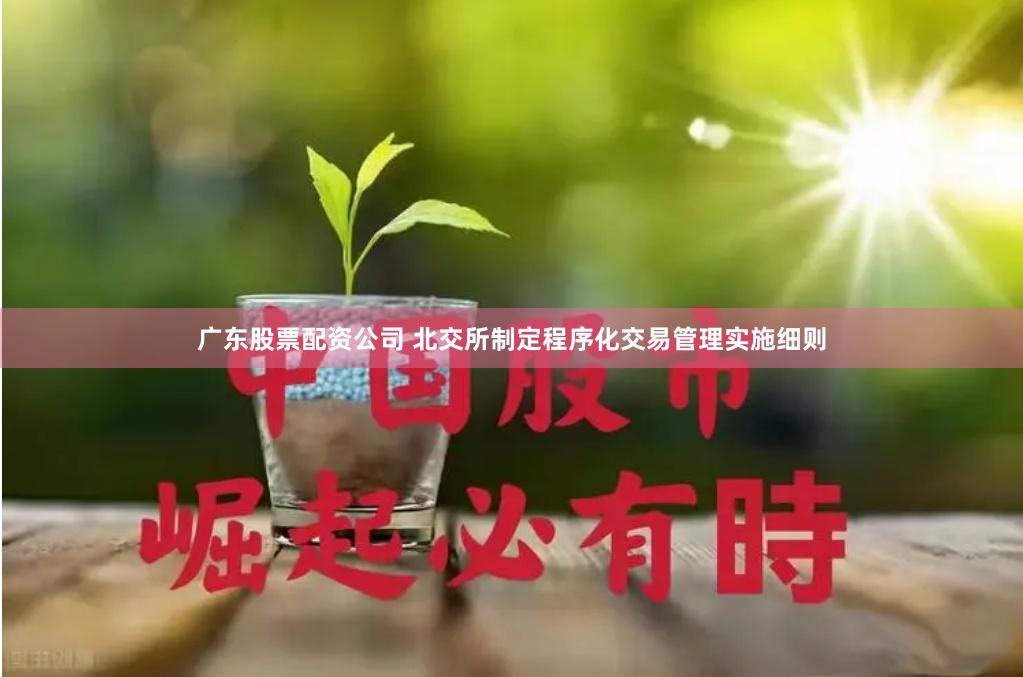 广东股票配资公司 北交所制定程序化交易管理实施细则
