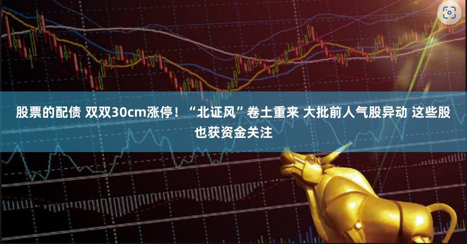 股票的配债 双双30cm涨停！“北证风”卷土重来 大批前人气股异动 这些股也获资金关注