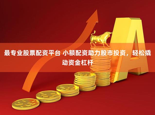 最专业股票配资平台 小额配资助力股市投资，轻松撬动资金杠杆